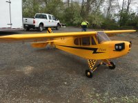 cub1.jpg cub1.jpg