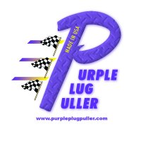 Purple Plug LOGO Final 100716.jpg