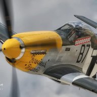 stangflyer
