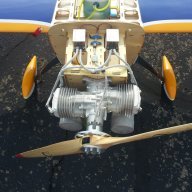 Raven61
