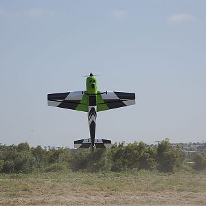 IMG_8311